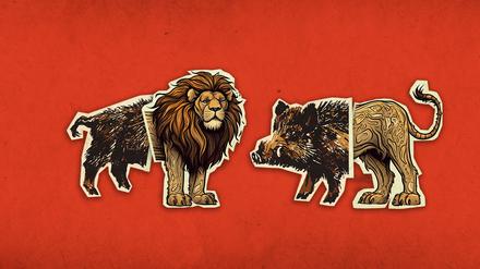 Löwe oder Wildschwein?