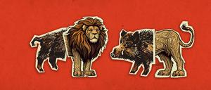 Löwe oder Wildschwein?