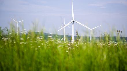 Windräder drehen sich auf einem Feld