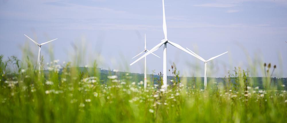 Windräder drehen sich auf einem Feld