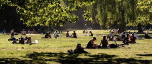 Sonnenschein dominiert in den nächsten Tagen die Aussichten. (Symbolbild)