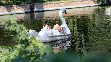 Potsdam Tipps. Annette Paul. Tretboot.
