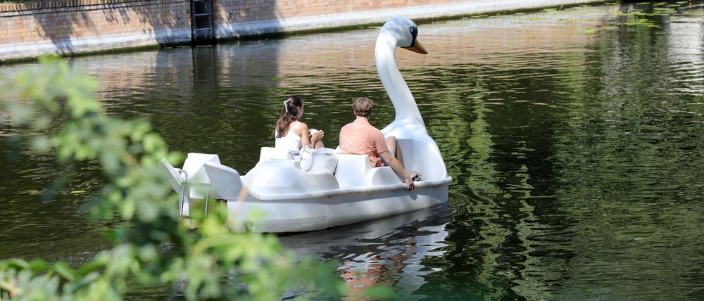 Potsdam Tipps. Annette Paul. Tretboot.