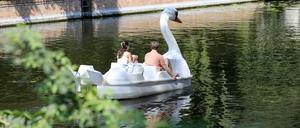 Potsdam Tipps. Annette Paul. Tretboot.