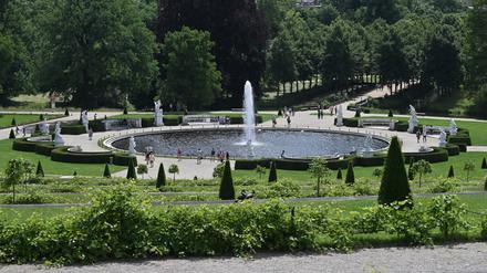Auch die Pflanzen im Park Sanssoucis leiden unter dem Klimawandel.