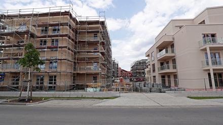 In den vergangenen Jahren ist in Potsdam viel gebaut worden. Doch dürfte die Nachfrage zu weiter steigenden Mieten führen.
