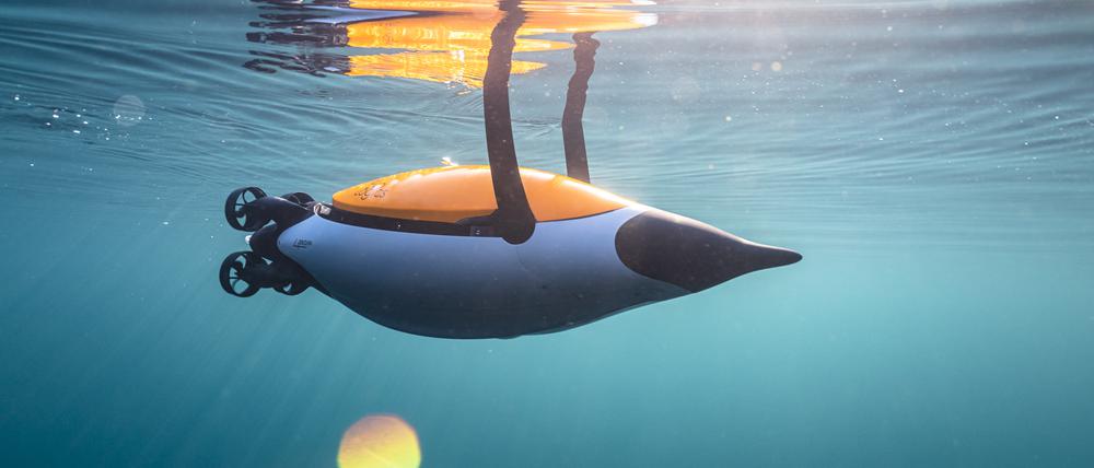 Die Quadroin-Roboter wurden Pinguinen nachempfunden.