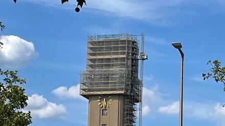 Rathaus Spandau, André Görke (2), BA Spandau