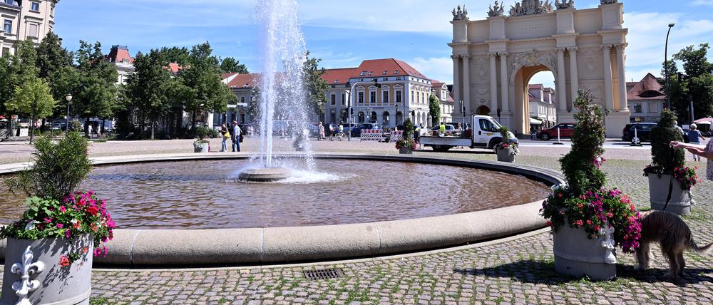 Luisenplatz Potsdam mit Brandneburger Tor: Hier findet der Weinmarkt statt.