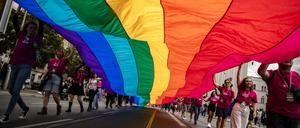 Regenbogenfahne beim CSD.