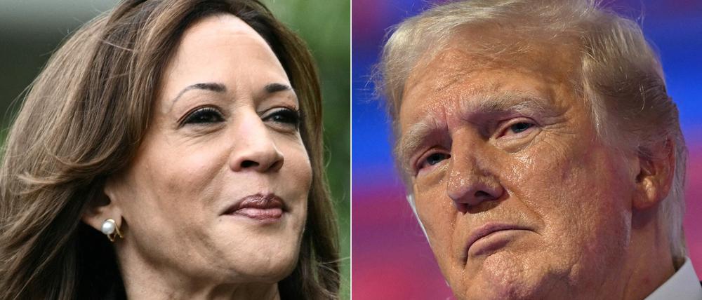 Große Erwartungen: Kamala Harris soll verhindern, dass Donald Trump ins Weiße Haus zurückkehrt.