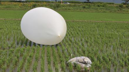 Südkorea, Incheon: Ein vermutlich von Nordkorea gesendeter Ballon liegt in einem Reisfeld (Archivbild).