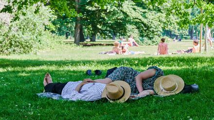 Zwei Menschen liegen mit Strohhut über dem Gesicht im Schatten eines Baumes im Tiergarten. 