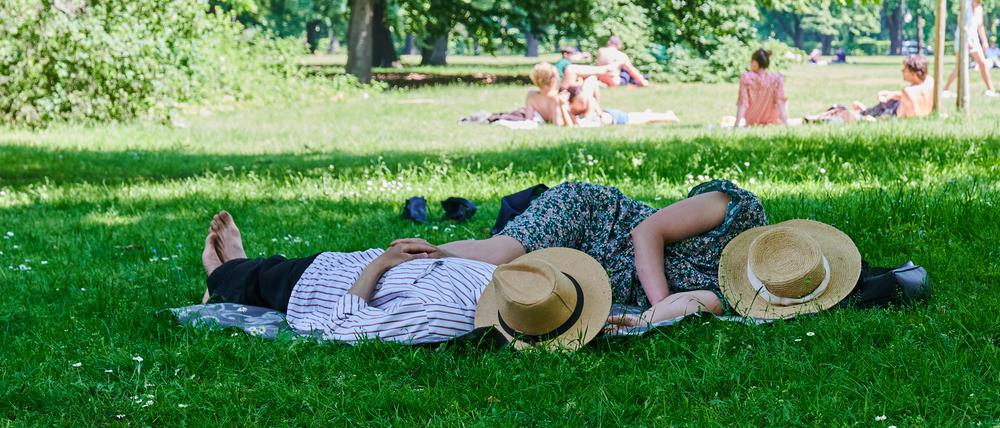Zwei Menschen liegen mit Strohhut über dem Gesicht im Schatten eines Baumes im Tiergarten.