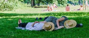 Zwei Menschen liegen mit Strohhut über dem Gesicht im Schatten eines Baumes im Tiergarten. 
