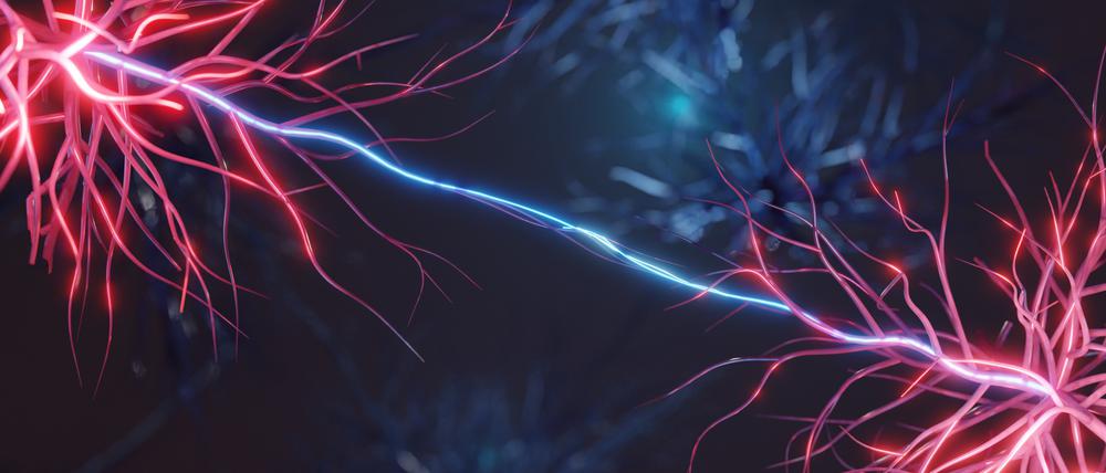 Das Nervensystem kommuniziert mit elektrischen Impulsen.