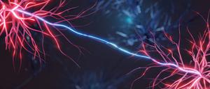 Das Nervensystem kommuniziert mit elektrischen Impulsen.