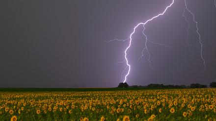 Ein Blitz über Petersdorf in Brandenburg.