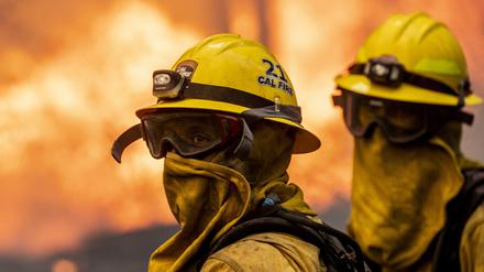 Im US-Bundesstaat Kalifornien haben nach Behördenangaben mehr als 1150 Feuerwehrleute gegen einen sich schnell ausbreitenden Waldbrand gekämpft.