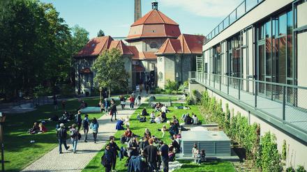 Kulturquartier mit Aufenthaltsqualität: der Rasen wächst auf dem Dach der ehemaligen Leichenhalle.