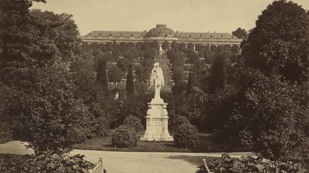 Ungewohnter Anblick: Auf den Weinbergterrassen vor Schloss Sanssouci stehen Bäume, im Vordergrund das Reiterstandbild von Friedrich II.