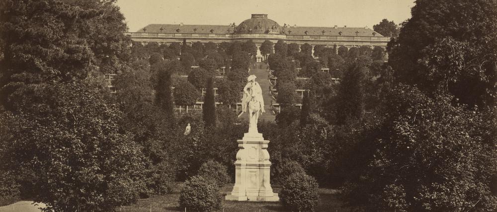 Ungewohnter Anblick: Auf den Weinbergterrassen vor Schloss Sanssouci stehen Bäume, im Vordergrund das Reiterstandbild von Friedrich II.