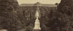 Ungewohnter Anblick: Auf den Weinbergterrassen vor Schloss Sanssouci stehen Bäume, im Vordergrund das Reiterstandbild von Friedrich II.
