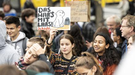Eine Schülerin demonstriert mit einem Schild gegen das Aussterben der Eisbären durch die Erderwärmung.