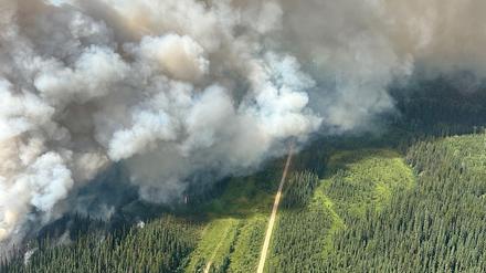 Ein Waldbrand (Symbolfoto)