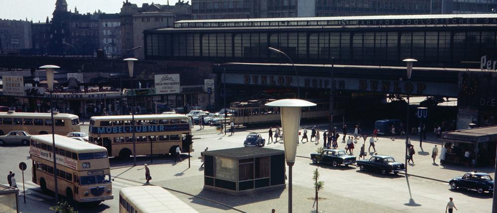 Busse am Bahnhof Zoologischer Garten im Jahr 1963.