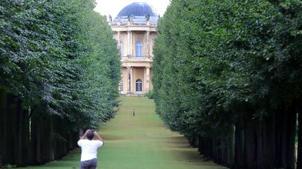Der Blick durch die Krimlindenallee im Park Sanssouci in Richtung Klausberg-Belvedere.