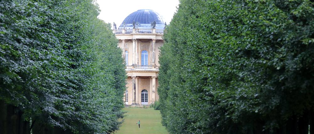 Der Blick durch die Krimlindenallee im Park Sanssouci in Richtung Klausberg-Belvedere.