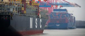 Zwei Containerschiffe liegen im Hamburger Hafen.