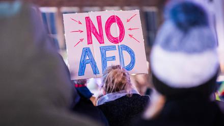 Bürgerinnen und Bürger protestieren gegen Rechtsextremismus im Januar 2024.