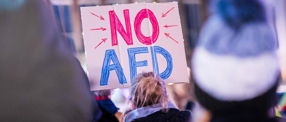 Bürgerinnen und Bürger protestieren gegen Rechtsextremismus im Januar 2024.