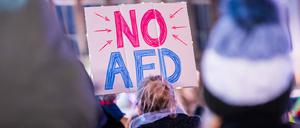 Bürgerinnen und Bürger protestieren gegen Rechtsextremismus im Januar 2024.
