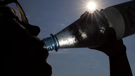 Europa erlebte 2003 einen der extremsten Sommer seit Beginn der Aufzeichnungen – mit hoher Sterberate, Wasserknappheit und massiven Ernteausfällen.
