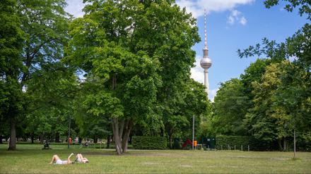 Berlin ist im bundesweiten Vergleich eine grüne Stadt - zeigt ein Ranking der Deutschen Umwelthilfe. (Archivfoto)