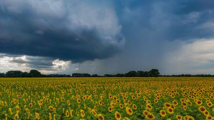 Durch die hohen Regenmengen der letzten 12 Monate wurden die Böden im vergangenen Winterhalbjahr nahezu deutschlandweit bis in die Tiefe aufgefüllt.