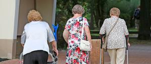 Seniorinnen in Potsdam