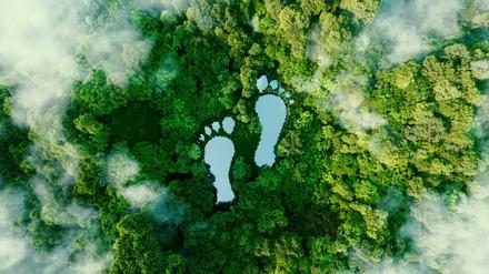 3D-Rendering eines Sees in Form menschlicher Fußabdrücke inmitten eines üppigen Waldes als Metapher für die Auswirkungen menschlicher Aktivitäten auf die Landschaft und die Natur im Allgemeinen. 
