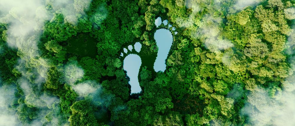 3D-Rendering eines Sees in Form menschlicher Fußabdrücke inmitten eines üppigen Waldes als Metapher für die Auswirkungen menschlicher Aktivitäten auf die Landschaft und die Natur im Allgemeinen.