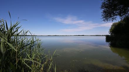Blick über den Fahrlander See im Norden der Stadt.