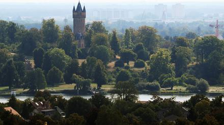 Der Babelsberger Park mit dem Flatowturm.