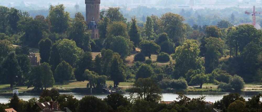 Der Babelsberger Park mit dem Flatowturm.