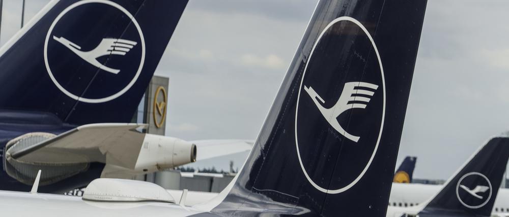 Lufthansa-Maschinen stehen auf dem Vorfeld des Flughafens Rhein-Main. 