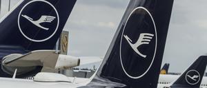Lufthansa-Maschinen stehen auf dem Vorfeld des Flughafens Rhein-Main. 