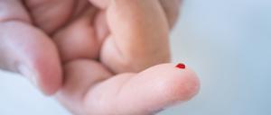 Eine ganze Welt der Moleküle eröffnet sich aus einem einzigen Tropfen Blut. 