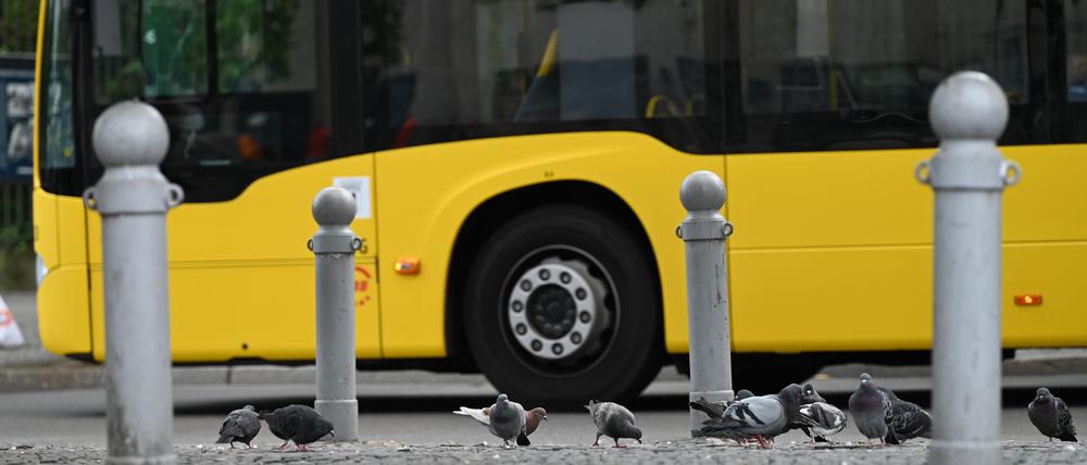 Die meisten Kunden steigen schon mit gültigen Fahrkarten ein. (Archivbild)