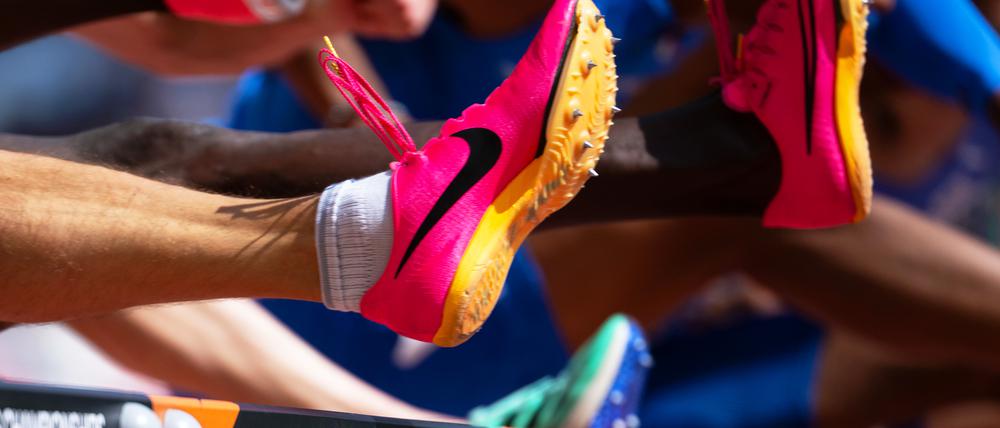 Spikes voraus.